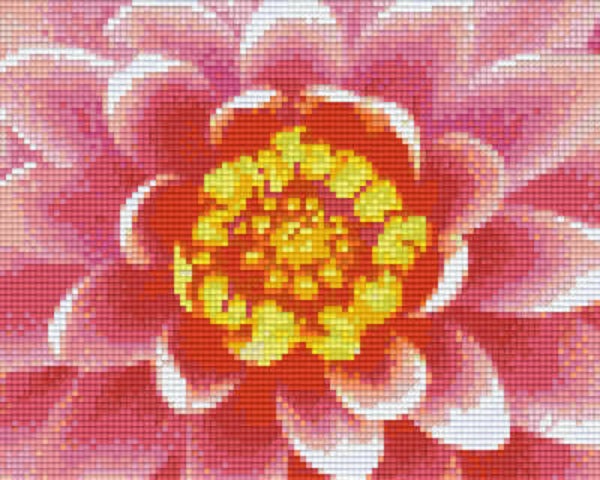 Kit 4 Plaques Fleur