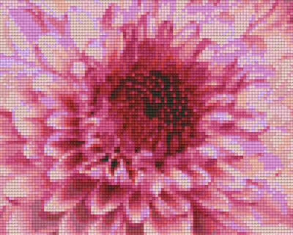 Kit 4 Plaques Fleur
