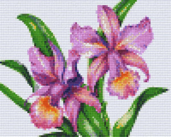 Kit 4 Plaques Fleurs