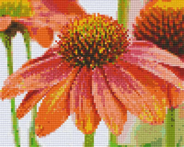 Kit 4 Plaques Fleur