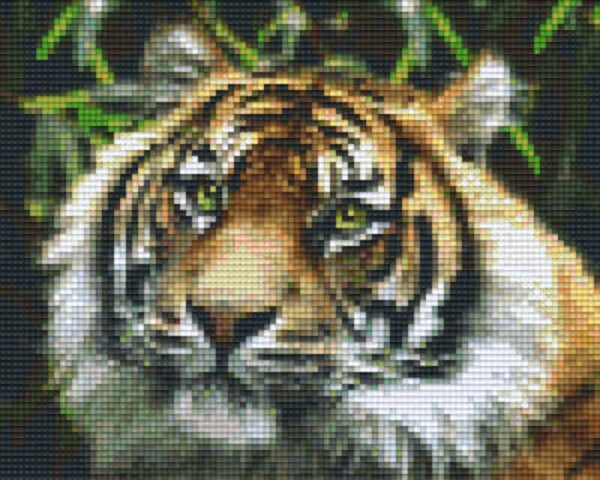 Kit 4 Plaques Tigre