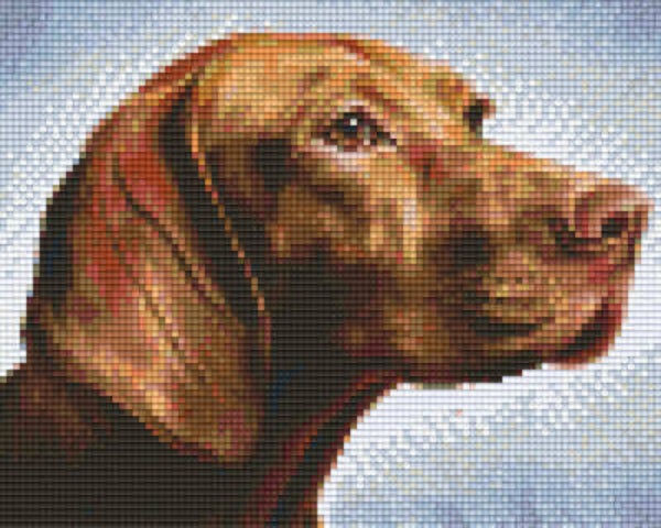 Kit 4 Plaques Chien