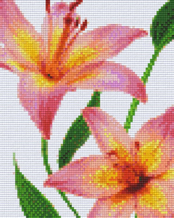 Kit 4 Plaques Fleurs