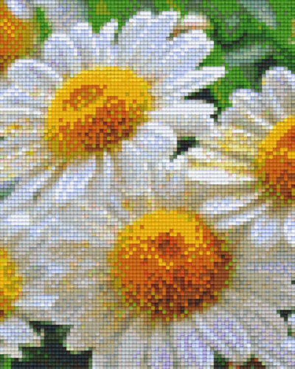 Kit 4 Plaques Fleurs