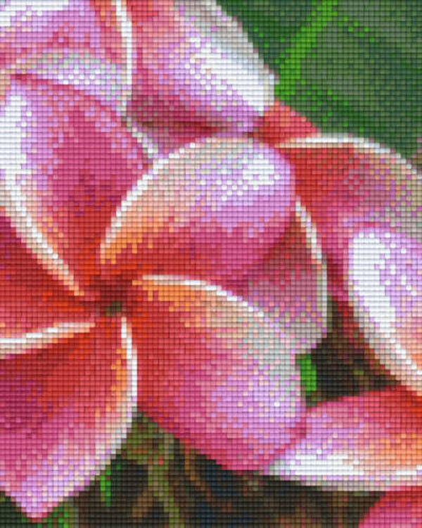 Kit 4 Plaques Fleurs