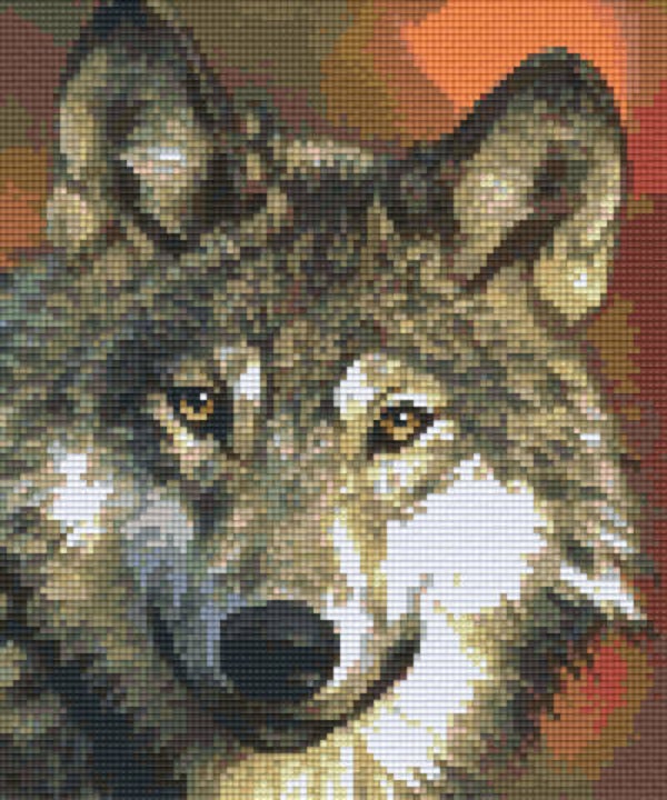 Kit 6 Plaques Loup