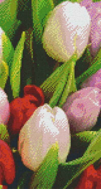 Kit 6 Plaques Fleurs