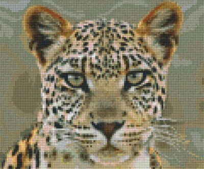 Kit 6 Plaques Leopard