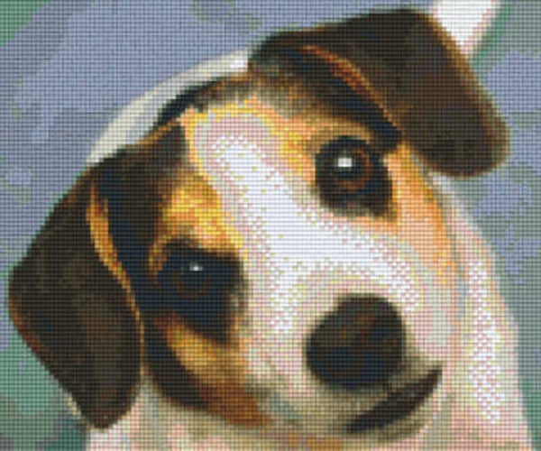 Kit 6 Plaques Chien