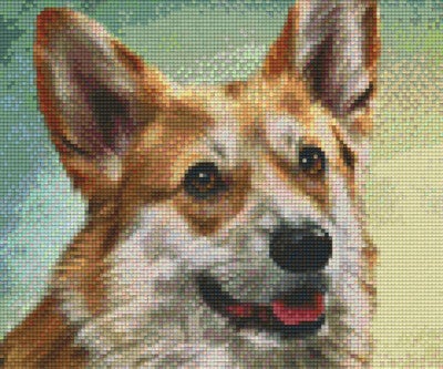 Kit 6 Plaques Chien