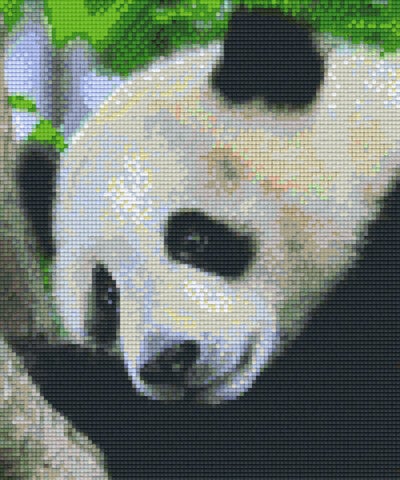 Kit 6 Plaques Panda