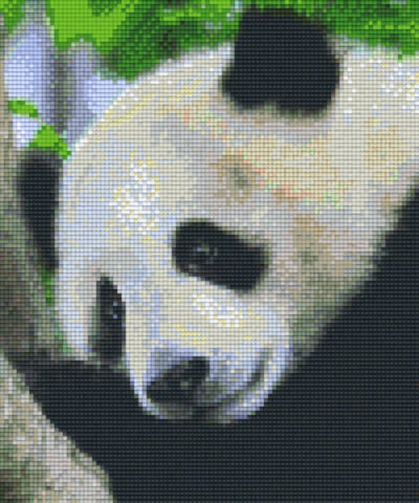 Kit 6 Plaques Panda