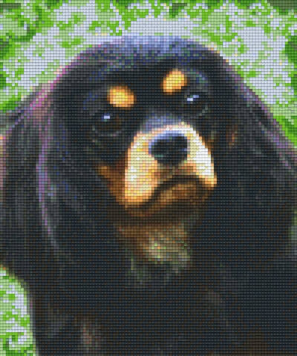 Kit 6 Plaques Chien
