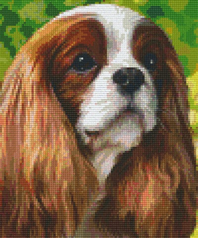Kit 6 Plaques Chien