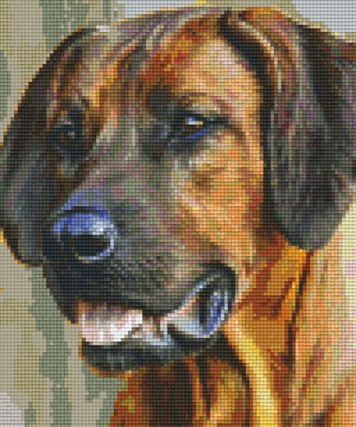 Kit 6 Plaques Chien