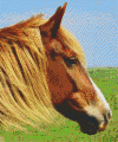 Kit 6 Plaques Cheval