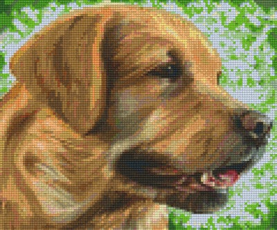 Kit 6 Plaques Chien