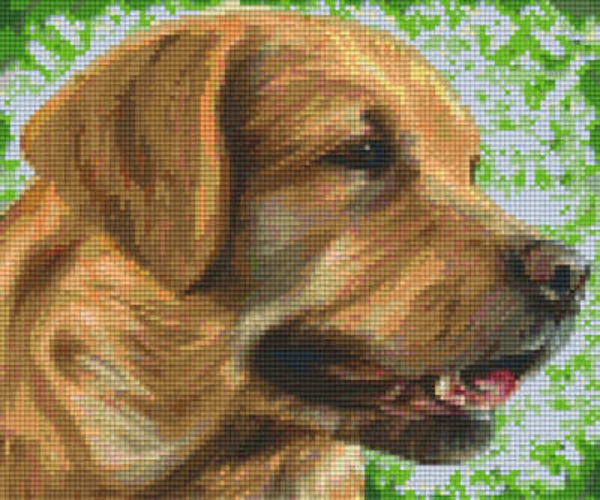 Kit 6 Plaques Chien