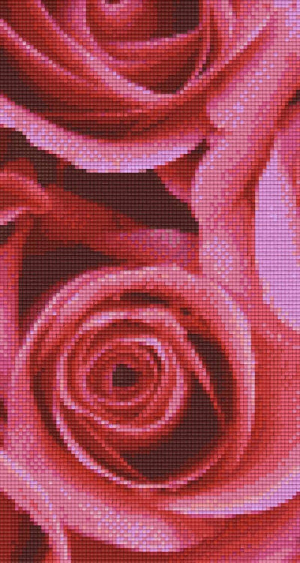 Kit 6 Plaques Fleurs