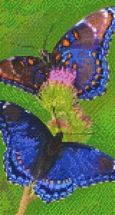 Kit 6 Plaques Papillons