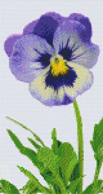 Kit 6 Plaques Fleur