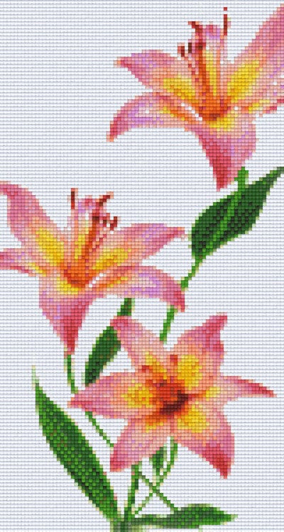 Kit 6 Plaques Fleurs