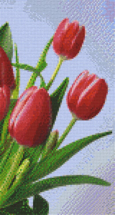 Kit 6 Plaques Fleurs