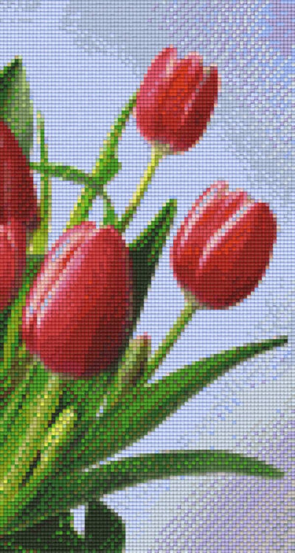 Kit 6 Plaques Fleurs