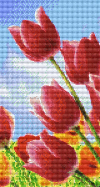 Kit 6 Plaques Fleurs
