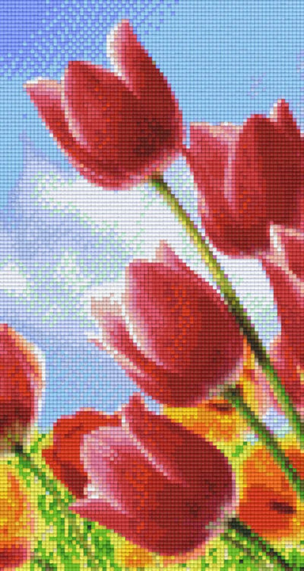 Kit 6 Plaques Fleurs