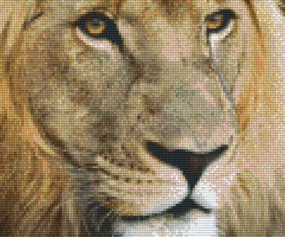 Kit 6 Plaques Lion