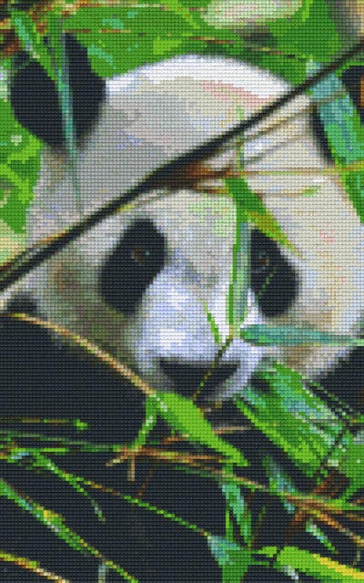 Kit 8 Plaques Panda