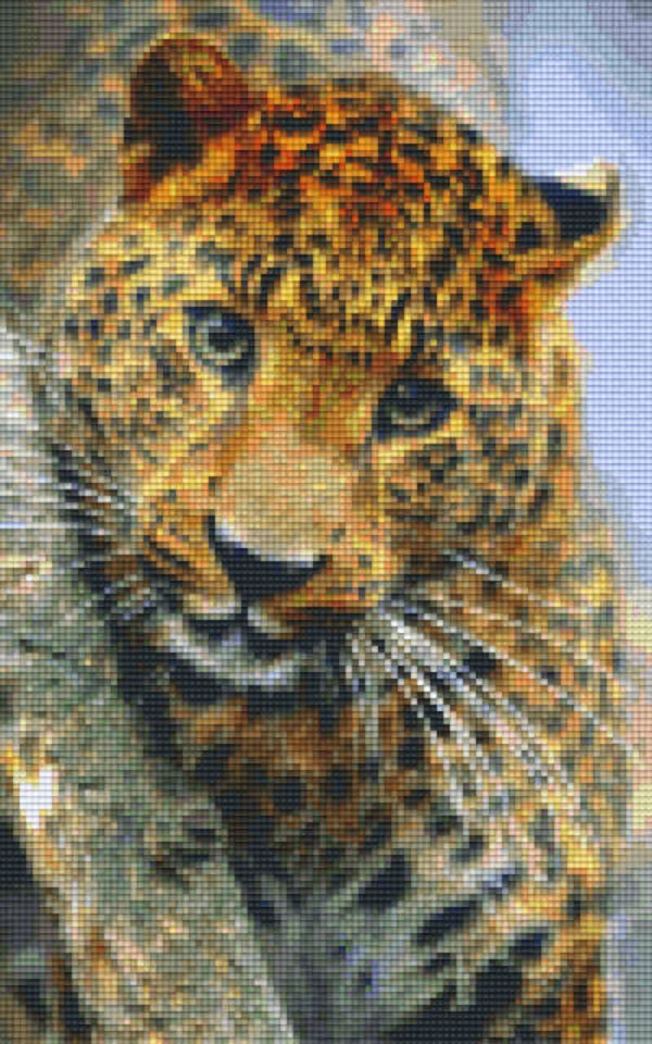 Kit 8 Plaques Leopard