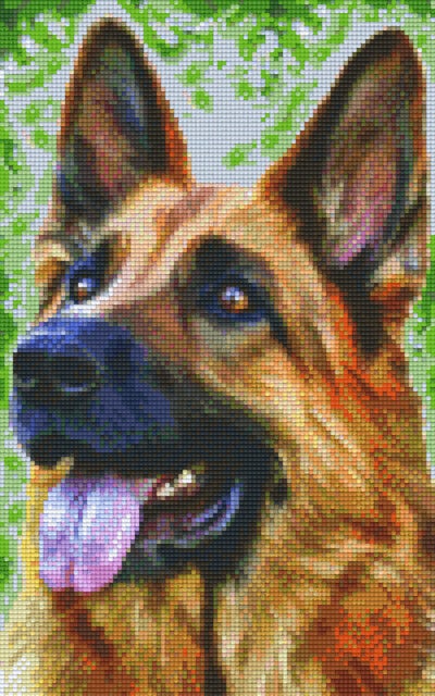 Kit 8 Plaques Chien