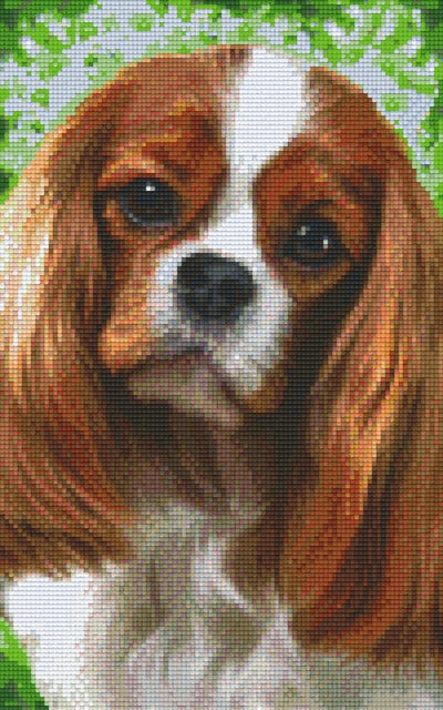 Kit 8 Plaques Chien