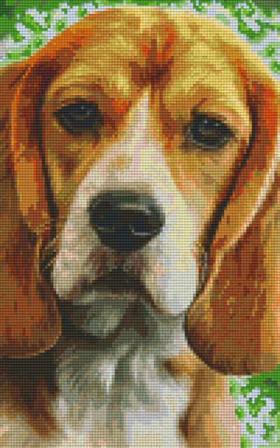 Kit 8 Plaques Chien