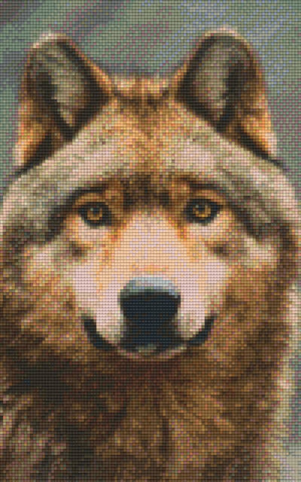 Kit 8 Plaques Loup
