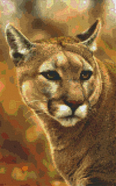 Kit 8 Plaques Puma