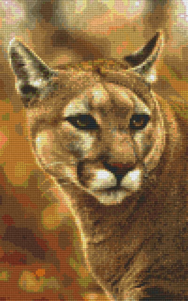 Kit 8 Plaques Puma