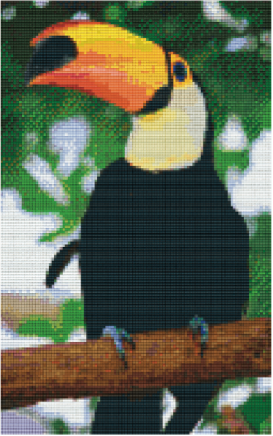 Kit 8 Plaques Toucan