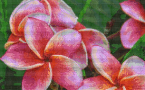 Kit 8 Plaques Fleurs