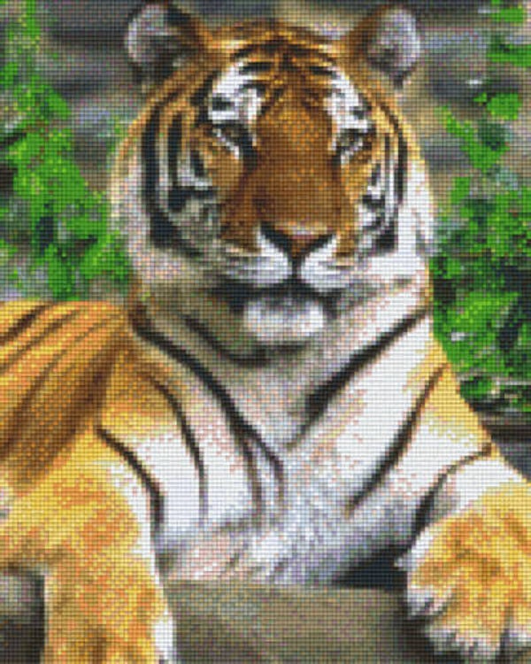 Kit 9 Plaques Tigre