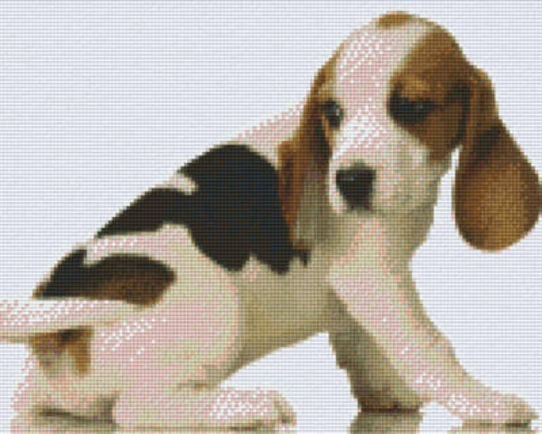 Kit 9 Plaques Chien