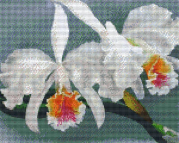 Kit 9 Plaques Fleurs