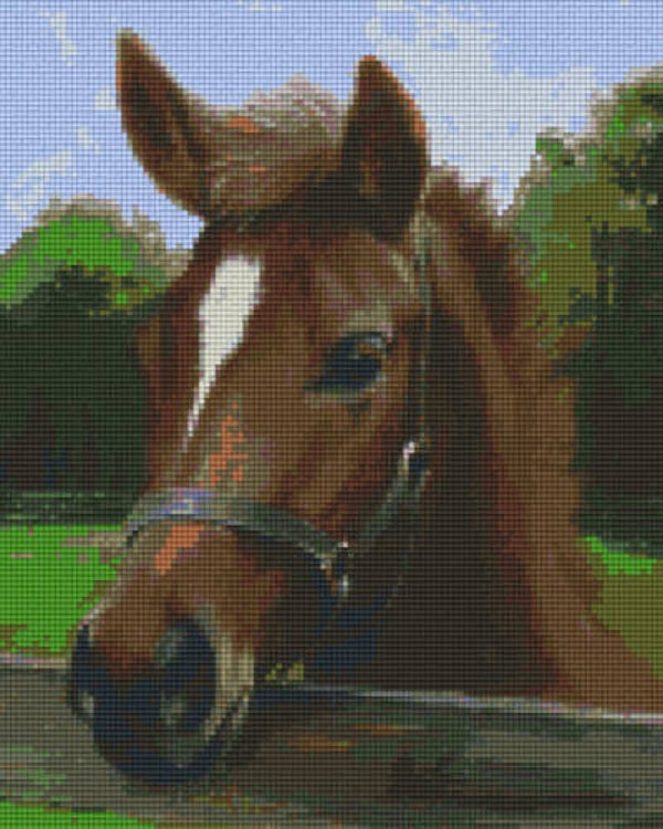 Kit 9 Plaques Cheval