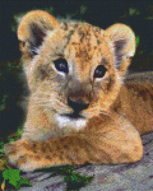Kit 9 Plaques Lionceau