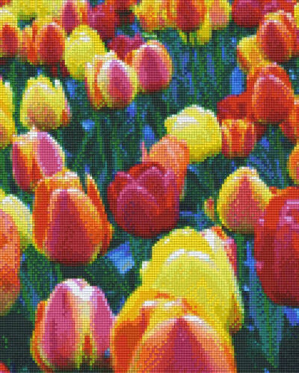 Kit 9 Plaques Fleurs