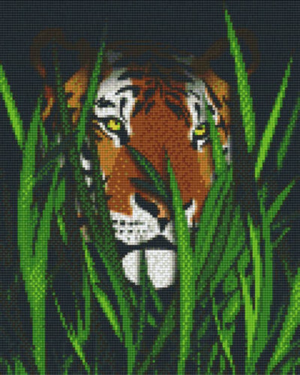 Kit 9 Plaques Tigre