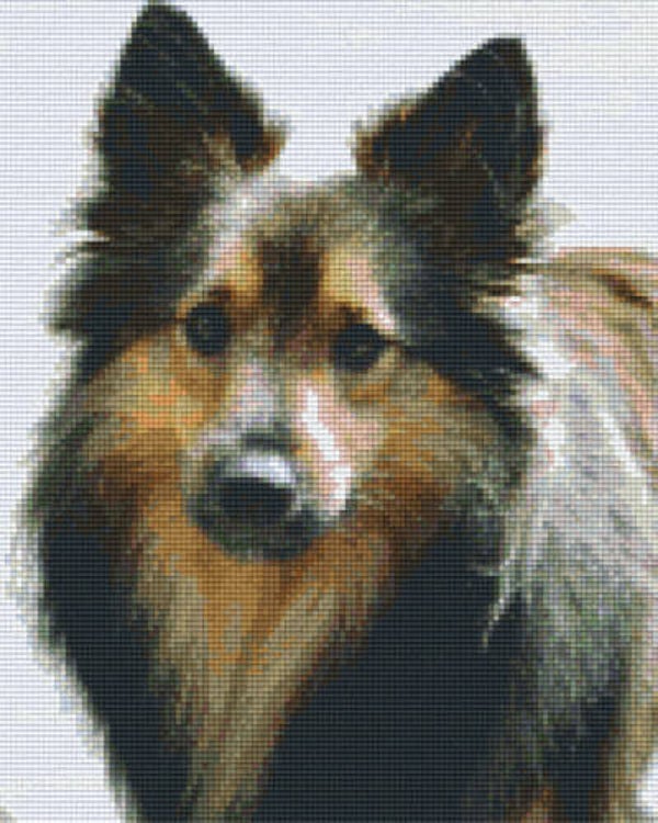 Kit 9 Plaques Chien