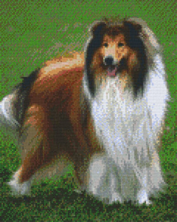Kit 9 Plaques Chien